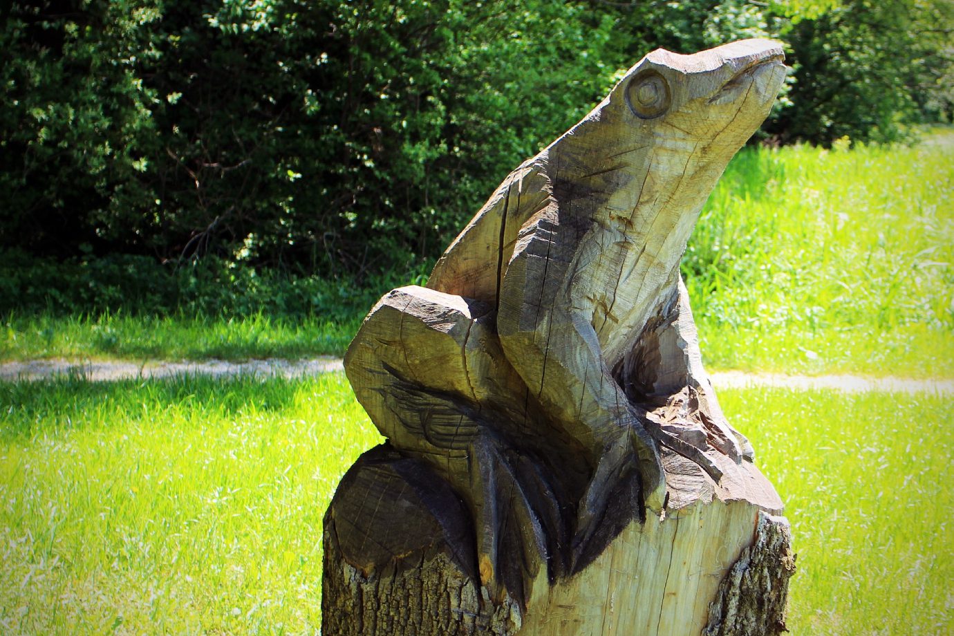 Frog Sculpture